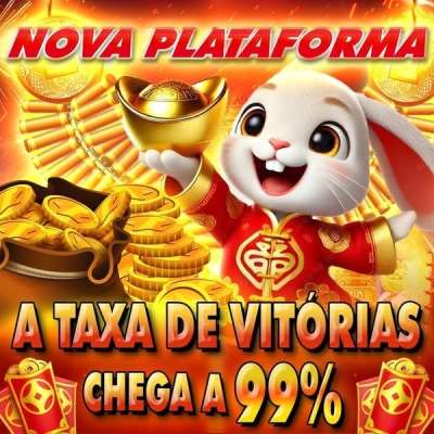 Nossa vida com cães